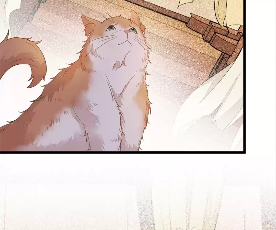 Read My Assassin Consort (Colored) chapter 47 image 27 on Lezhin