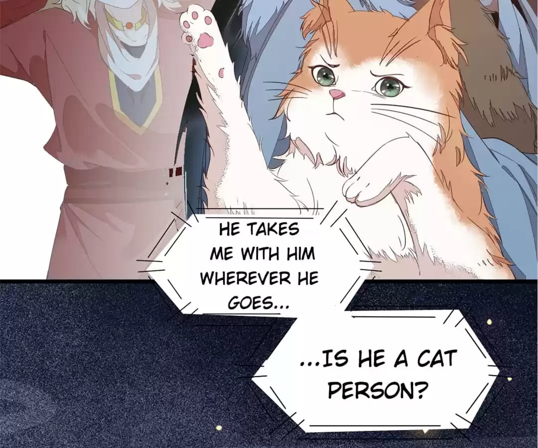 Read My Assassin Consort (Colored) chapter 47 image 7 on Lezhin
