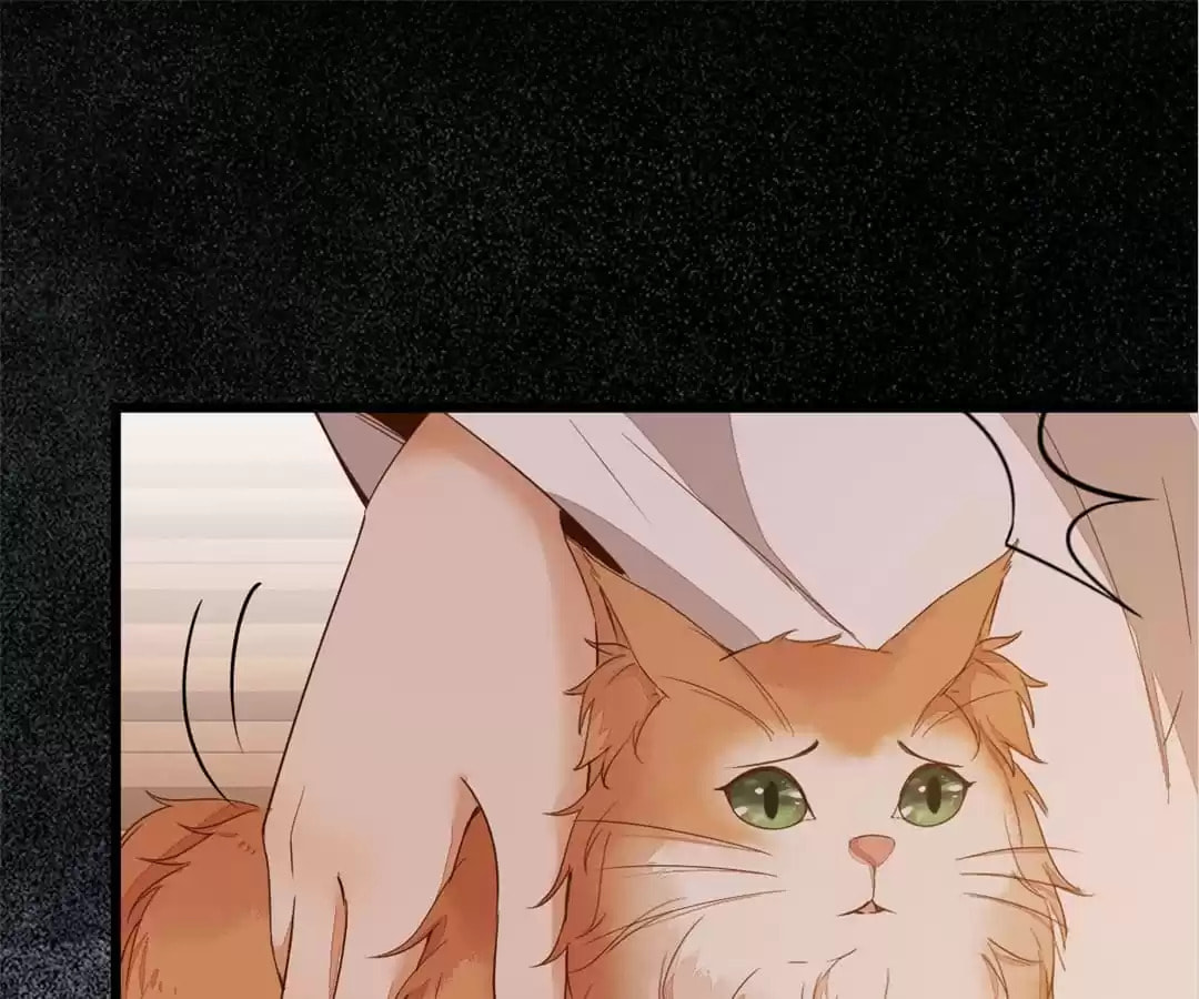 Read My Assassin Consort (Colored) chapter 48 image 75 on Lezhin