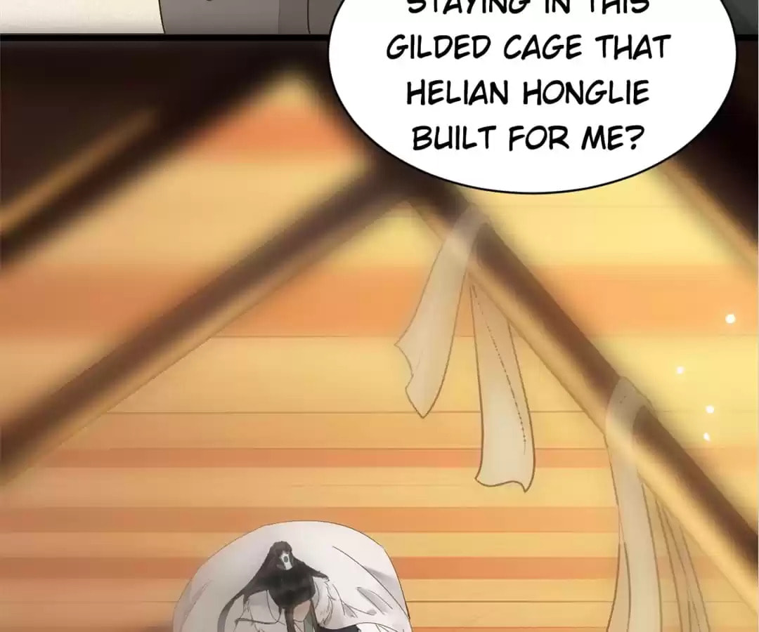 Read My Assassin Consort (Colored) chapter 49 image 15 on Lezhin