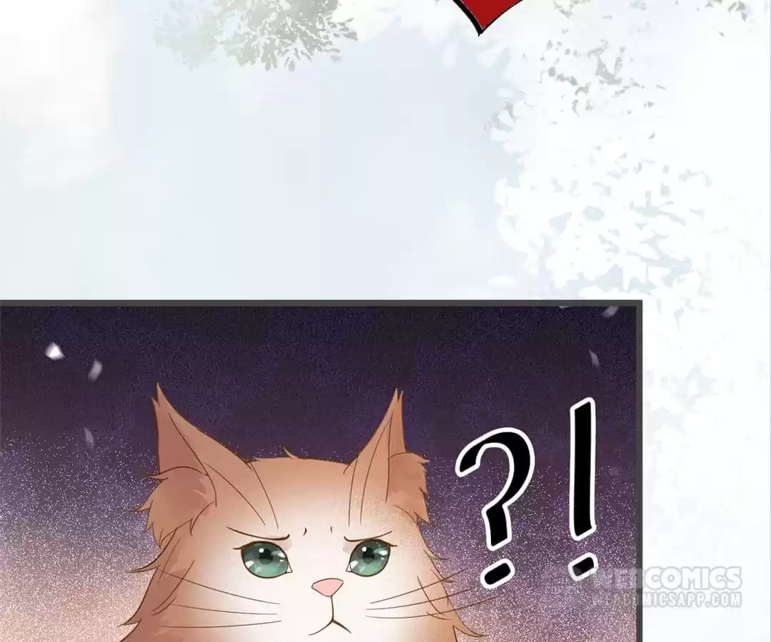 Read My Assassin Consort (Colored) chapter 49 image 22 on Lezhin