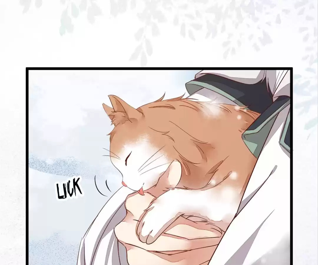 Read My Assassin Consort (Colored) chapter 49 image 53 on Lezhin