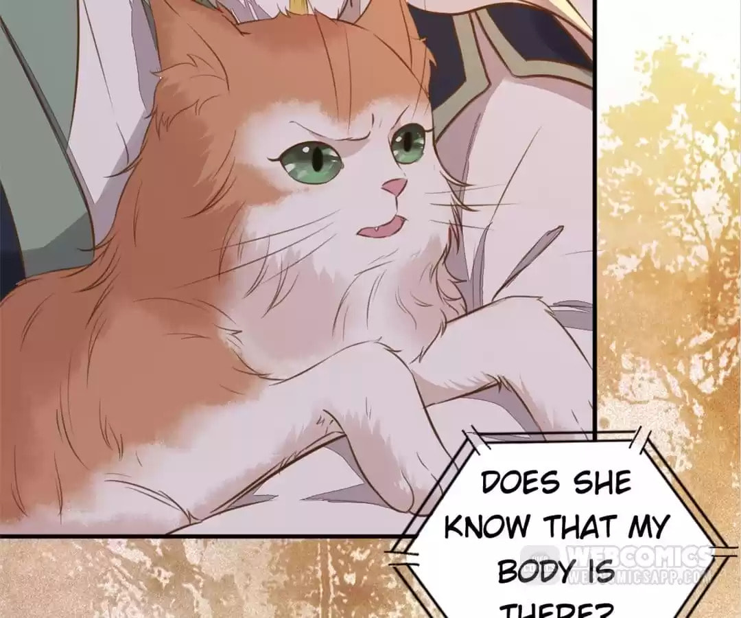 Read My Assassin Consort (Colored) chapter 50 image 62 on Lezhin