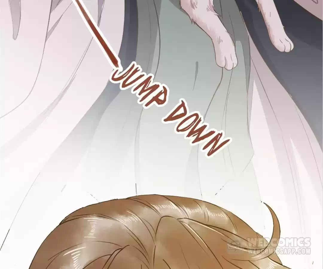 Read My Assassin Consort (Colored) chapter 50 image 70 on Lezhin