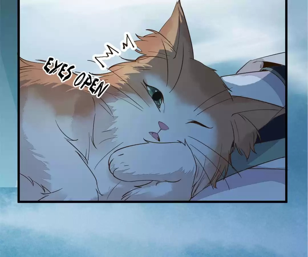 Read My Assassin Consort (Colored) chapter 55 image 24 on Lezhin