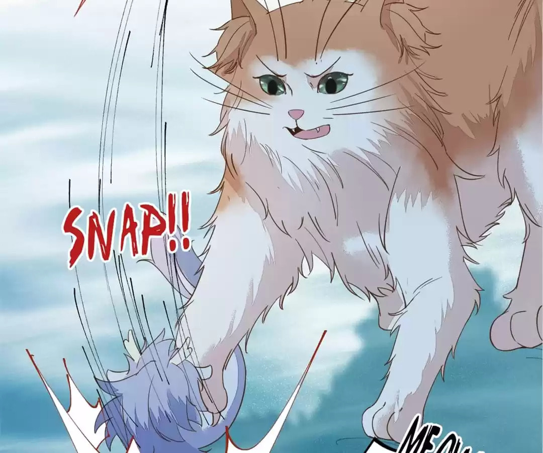 Read My Assassin Consort (Colored) chapter 55 image 37 on Lezhin