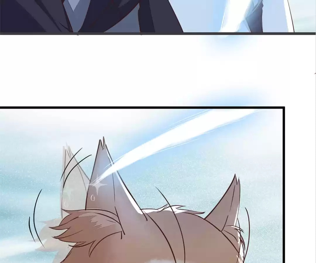 Read My Assassin Consort (Colored) chapter 55 image 56 on Lezhin