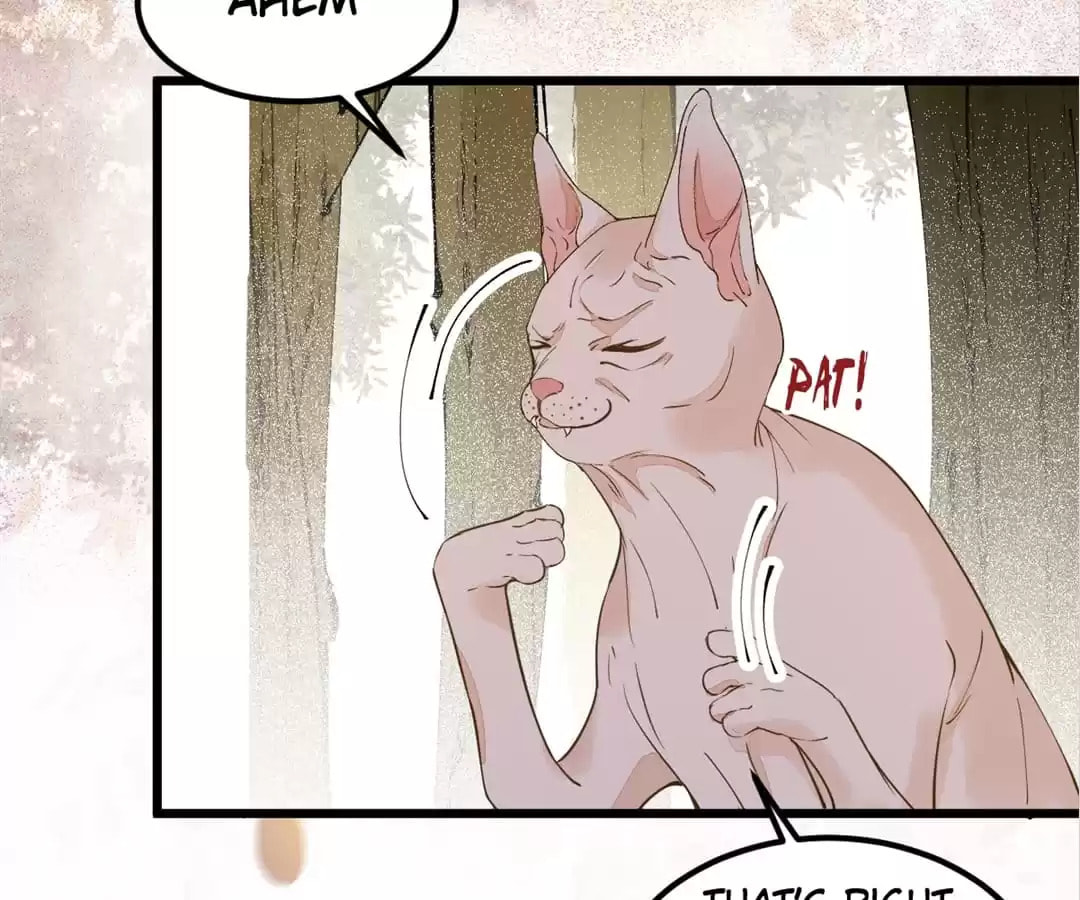 Read My Assassin Consort (Colored) chapter 58 image 15 on Lezhin