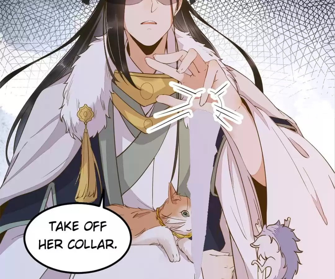 Read My Assassin Consort (Colored) chapter 58 image 17 on Lezhin