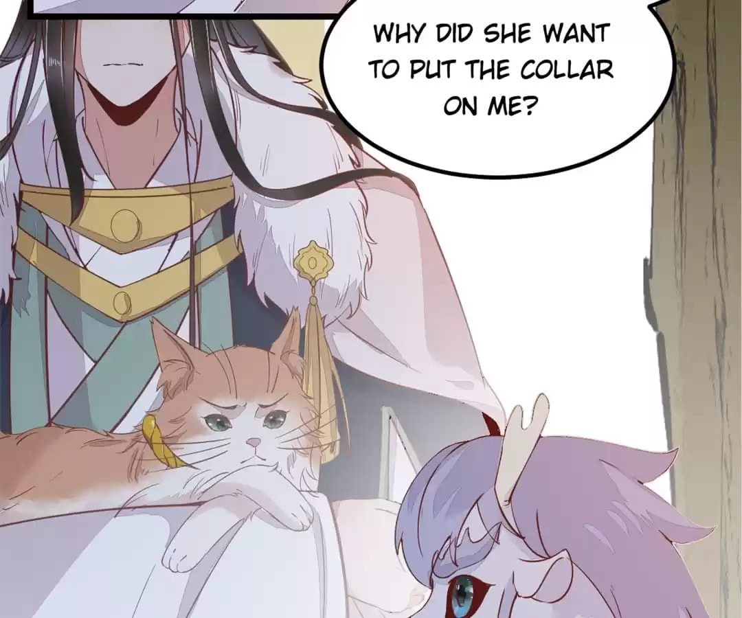Read My Assassin Consort (Colored) chapter 58 image 23 on Lezhin