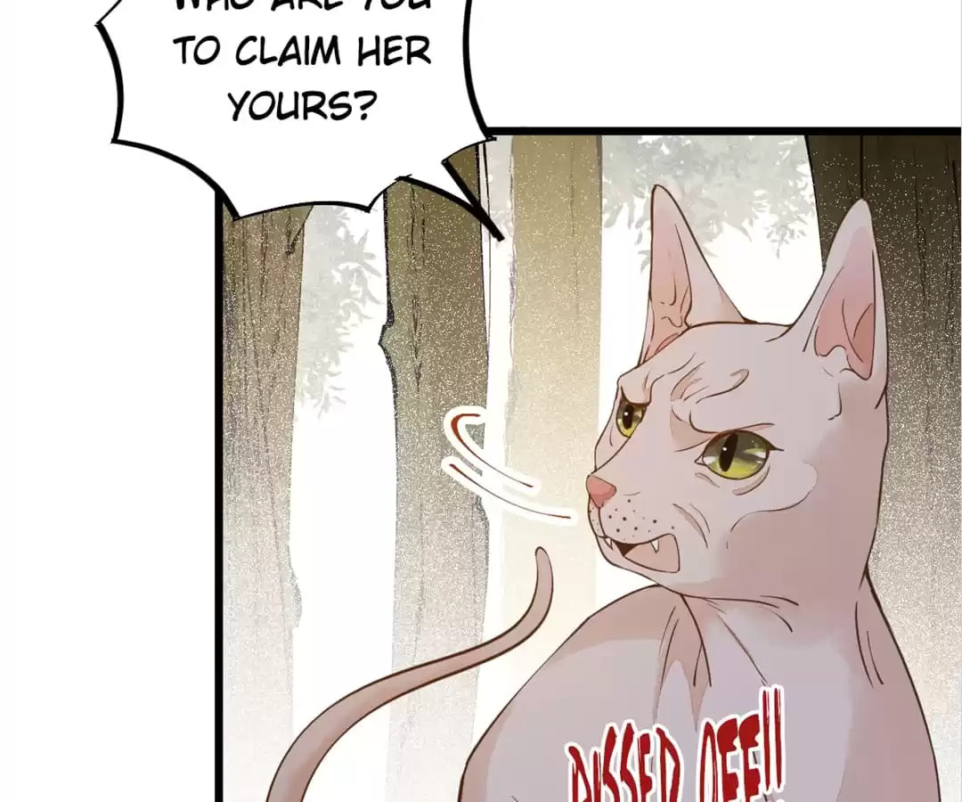 Read My Assassin Consort (Colored) chapter 58 image 5 on Lezhin