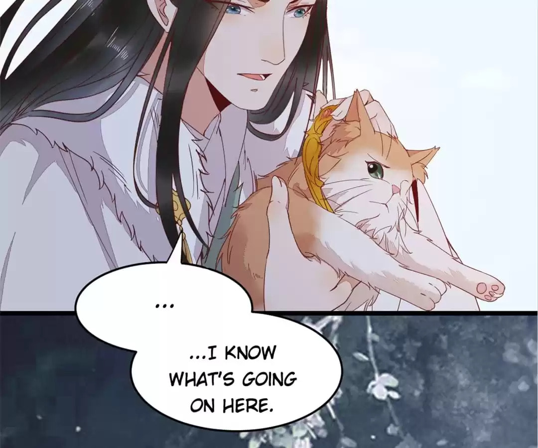 Read My Assassin Consort (Colored) chapter 58 image 75 on Lezhin