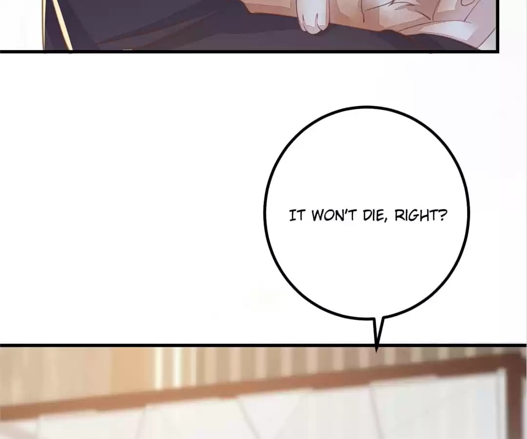 Read My Assassin Consort (Colored) chapter 65 image 53 on Lezhin