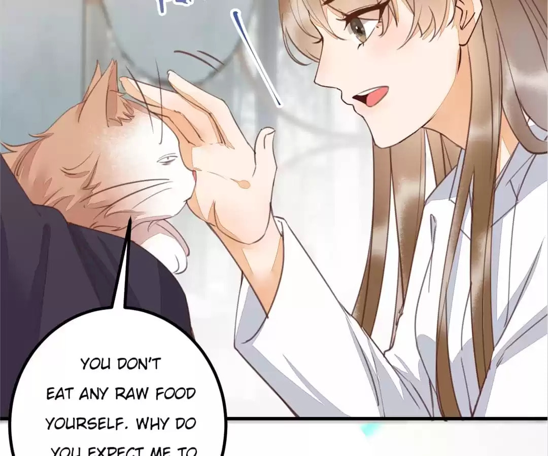 Read My Assassin Consort (Colored) chapter 65 image 58 on Lezhin