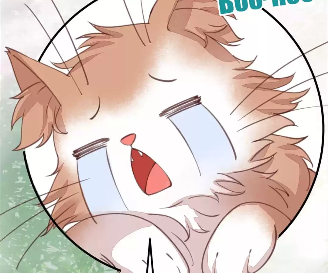 Read My Assassin Consort (Colored) chapter 65 image 61 on Lezhin