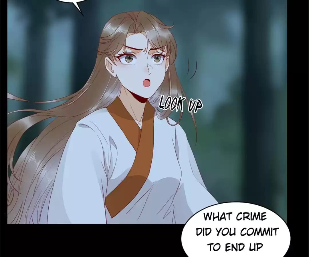 Read My Assassin Consort (Colored) chapter 81 image 37 on Lezhin
