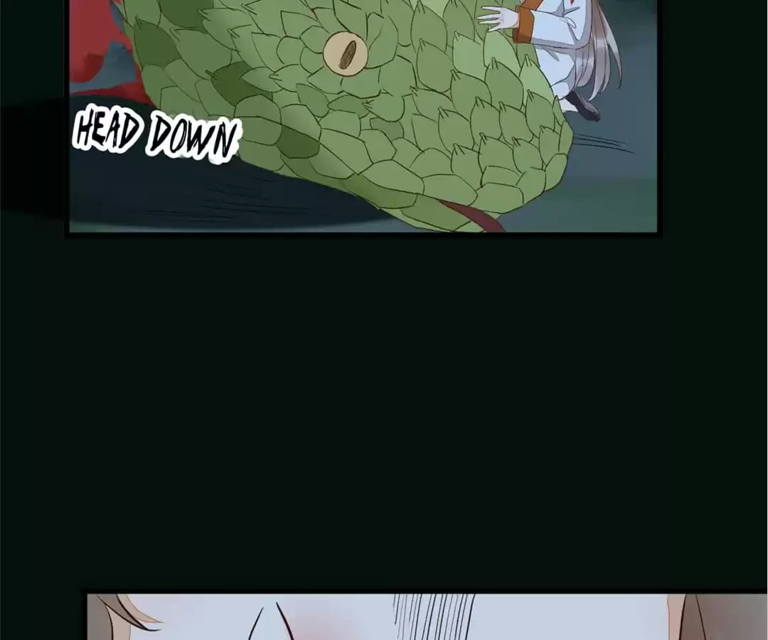 Read My Assassin Consort (Colored) chapter 84 image 19 on Lezhin