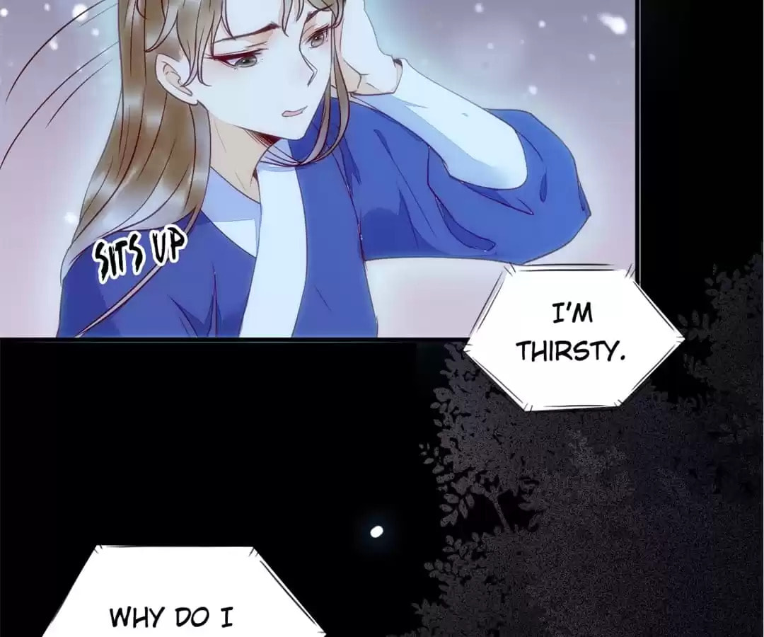 Read My Assassin Consort chapter 19 image 3 on Lezhin