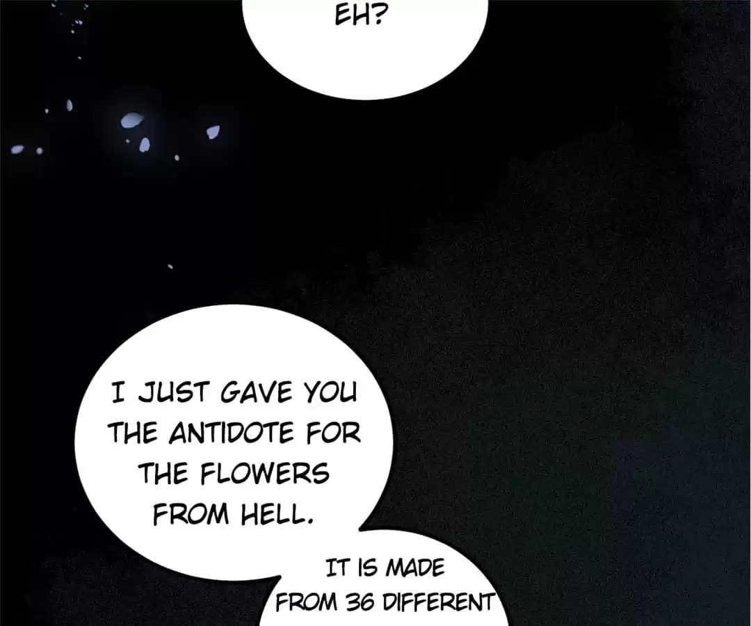 Read My Assassin Consort chapter 20 image 78 on Lezhin