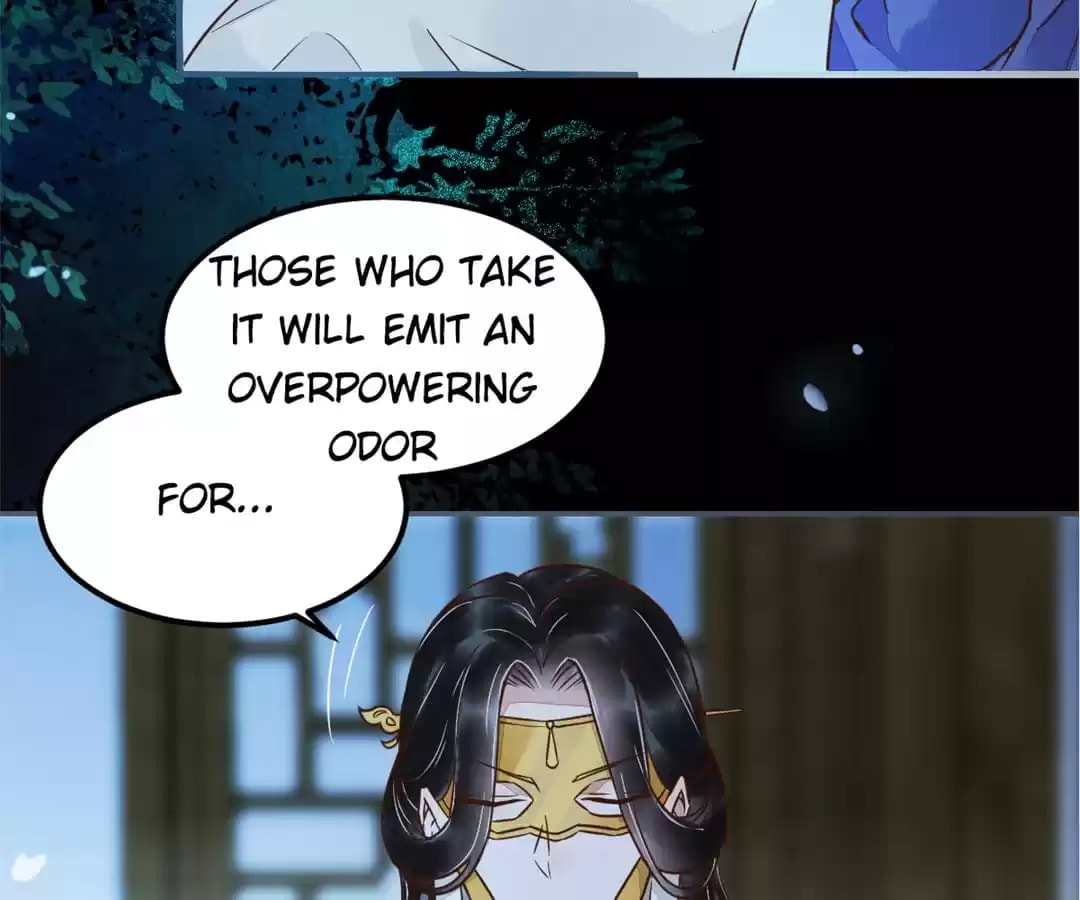 Read My Assassin Consort chapter 20 image 80 on Lezhin
