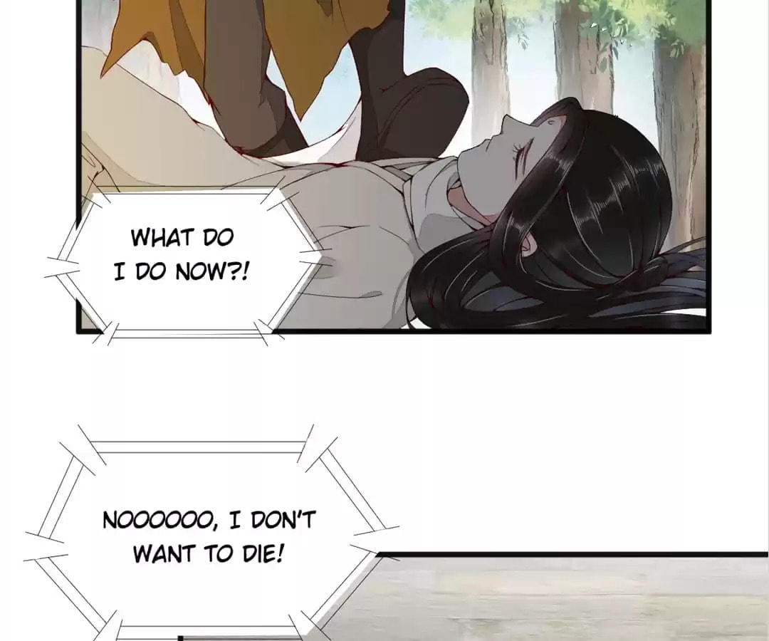 Read My Assassin Consort chapter 26 image 73 on Lezhin