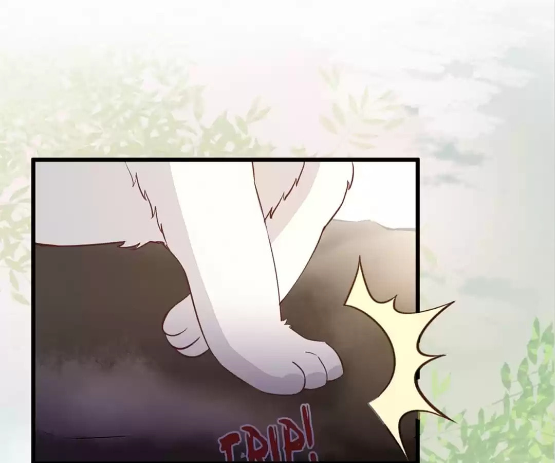 Read My Assassin Consort chapter 30 image 54 on Lezhin