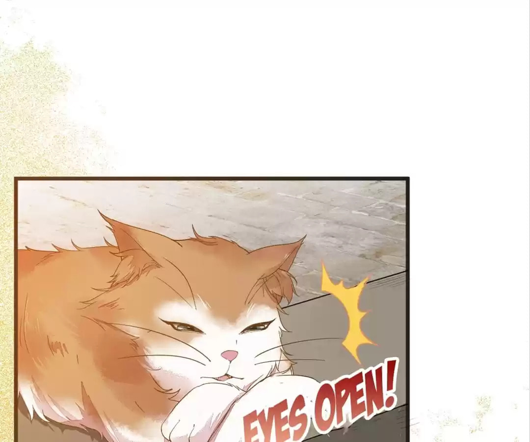 Read My Assassin Consort chapter 32 image 1 on Lezhin