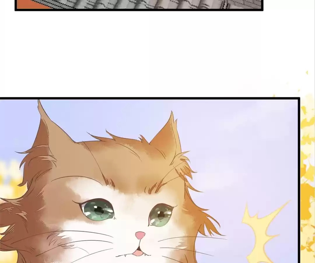 Read My Assassin Consort chapter 32 image 24 on Lezhin