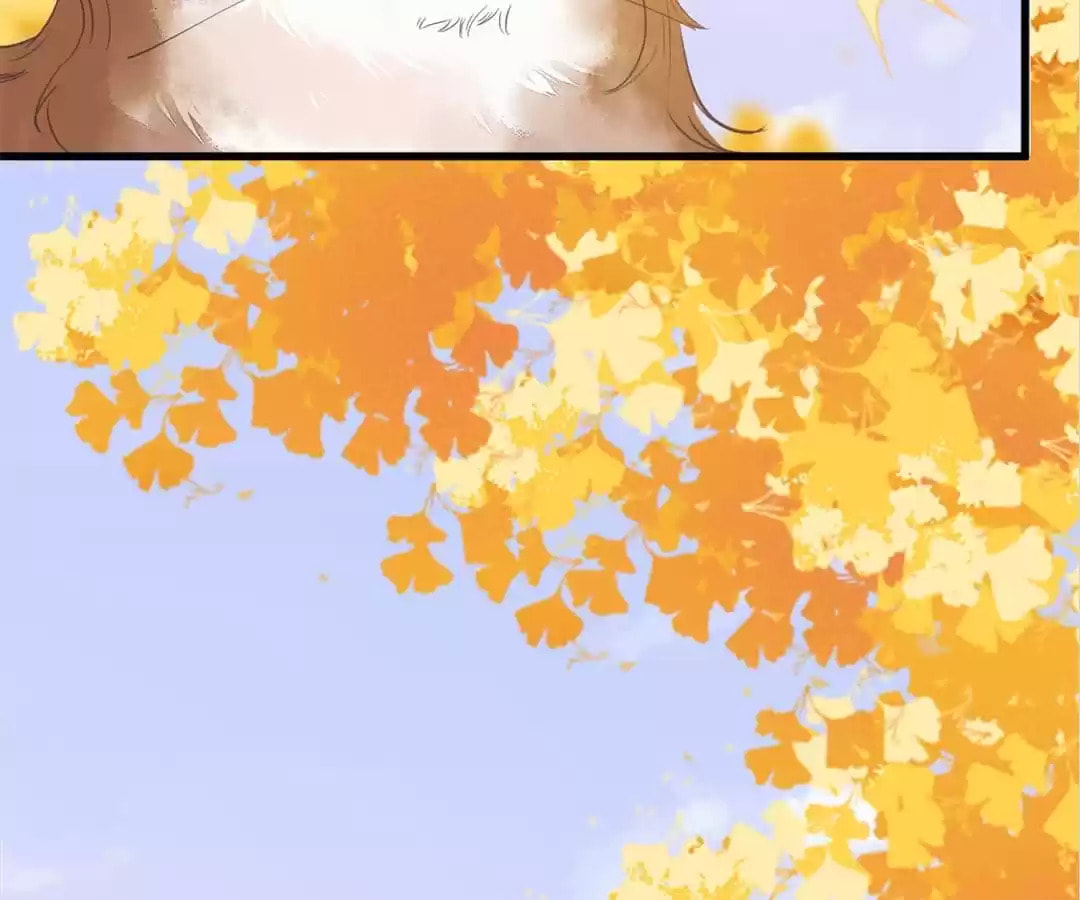 Read My Assassin Consort chapter 32 image 25 on Lezhin