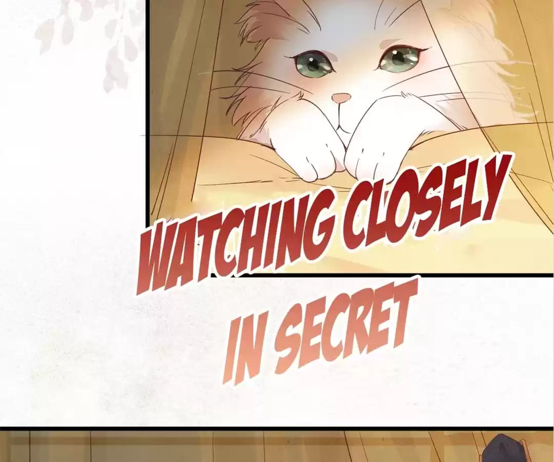 Read My Assassin Consort chapter 32 image 62 on Lezhin