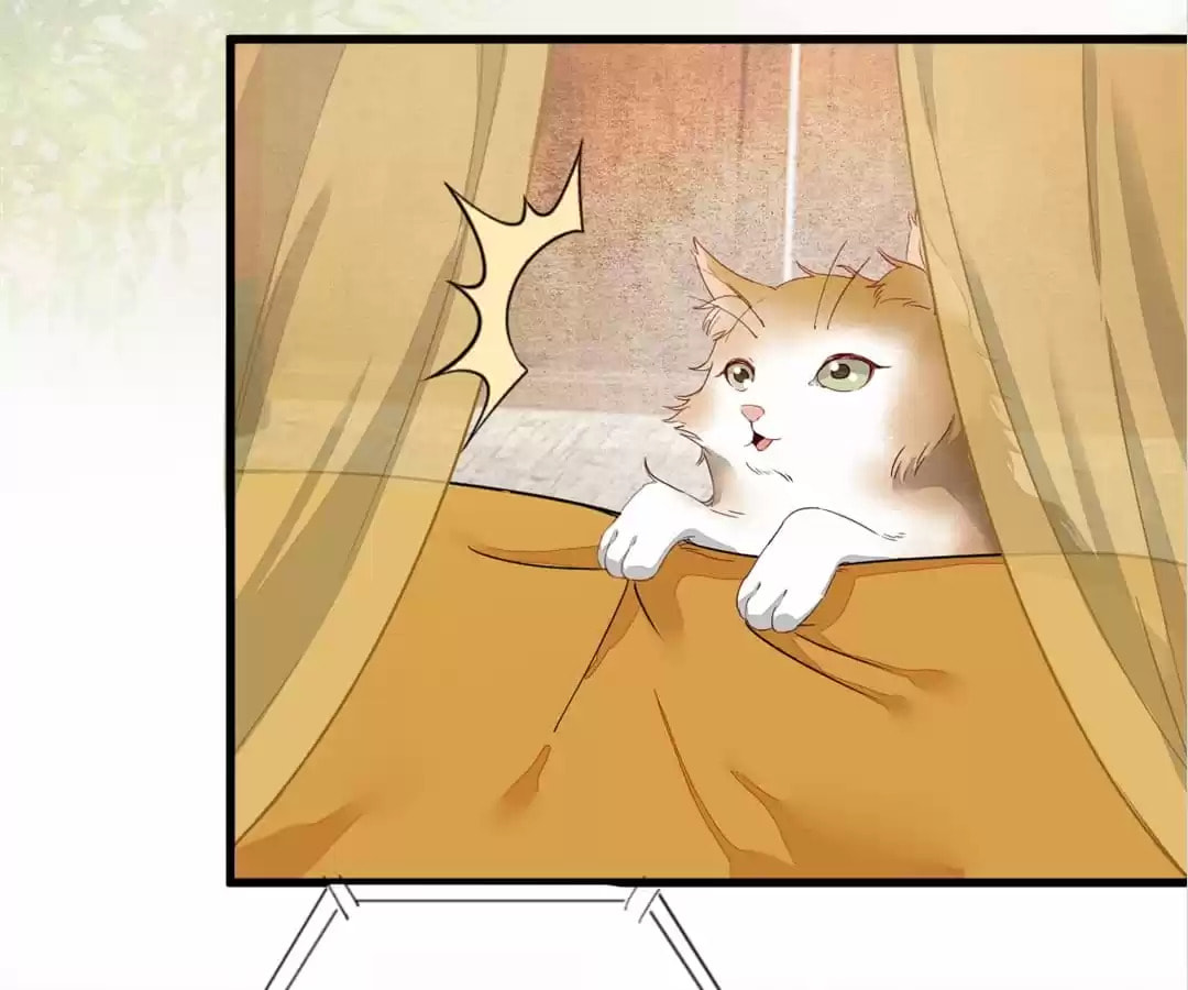 Read My Assassin Consort chapter 32 image 71 on Lezhin