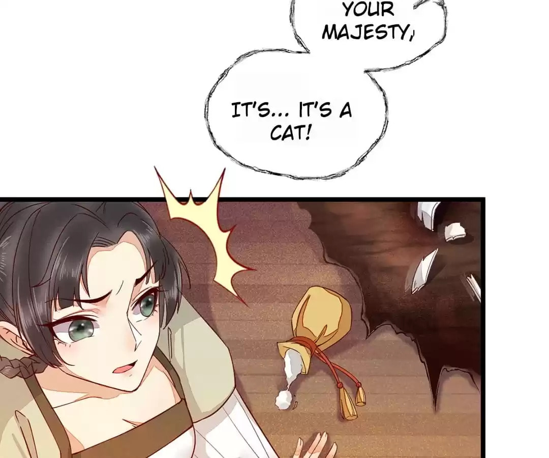 Read My Assassin Consort chapter 33 image 13 on Lezhin