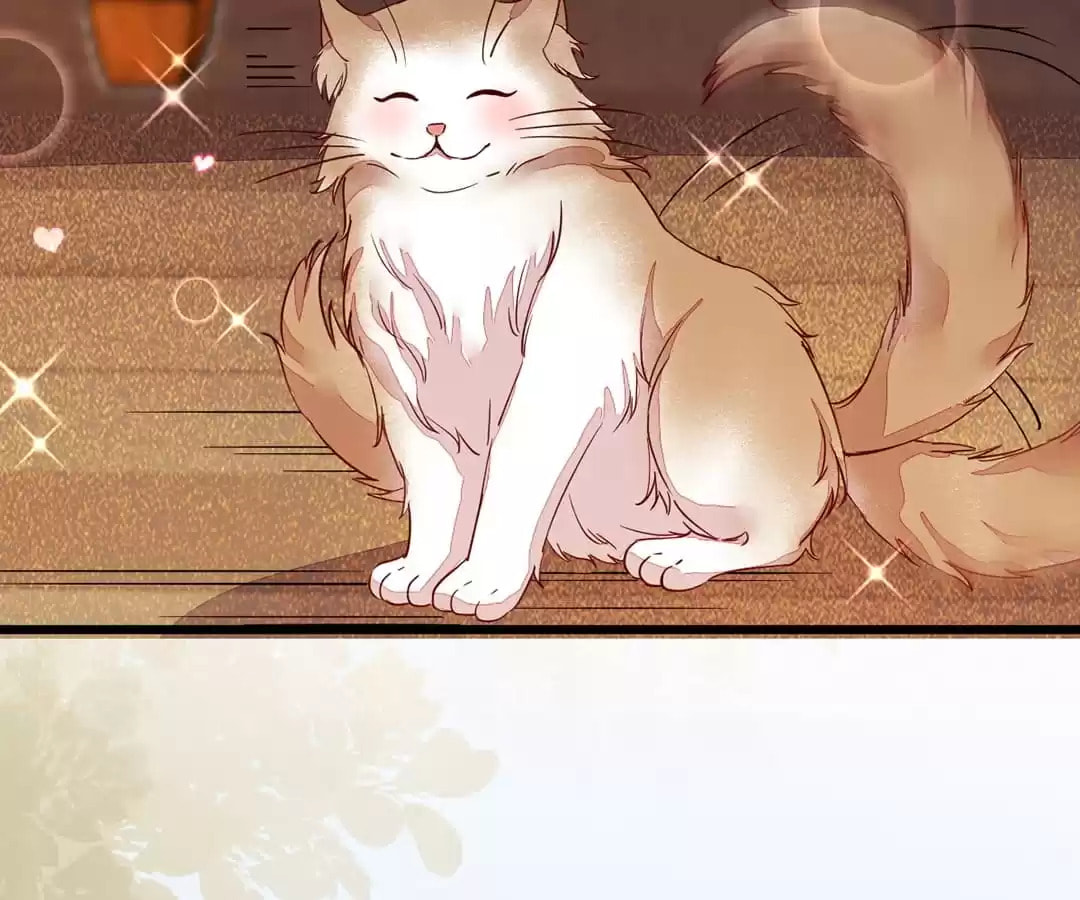 Read My Assassin Consort chapter 33 image 28 on Lezhin