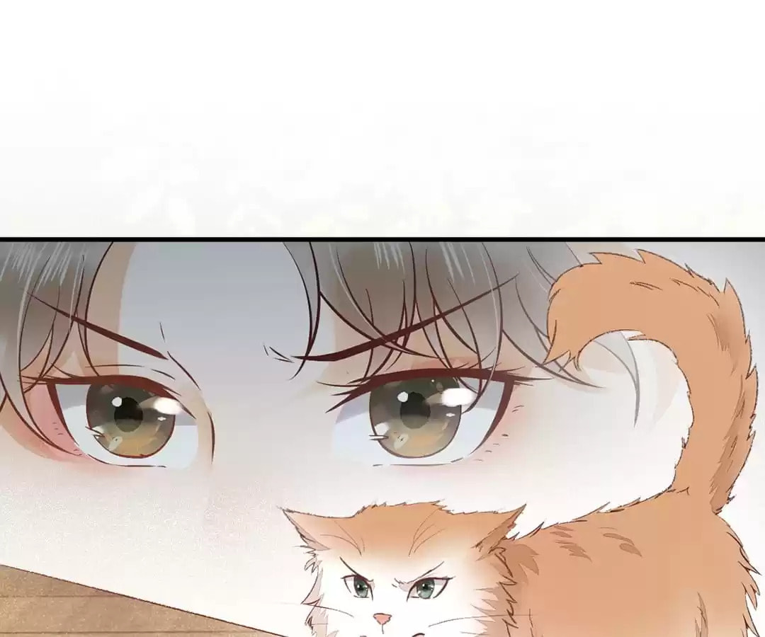 Read My Assassin Consort chapter 33 image 46 on Lezhin