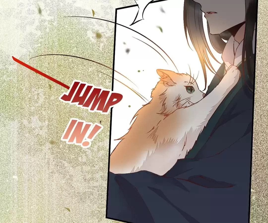 Read My Assassin Consort chapter 33 image 56 on Lezhin
