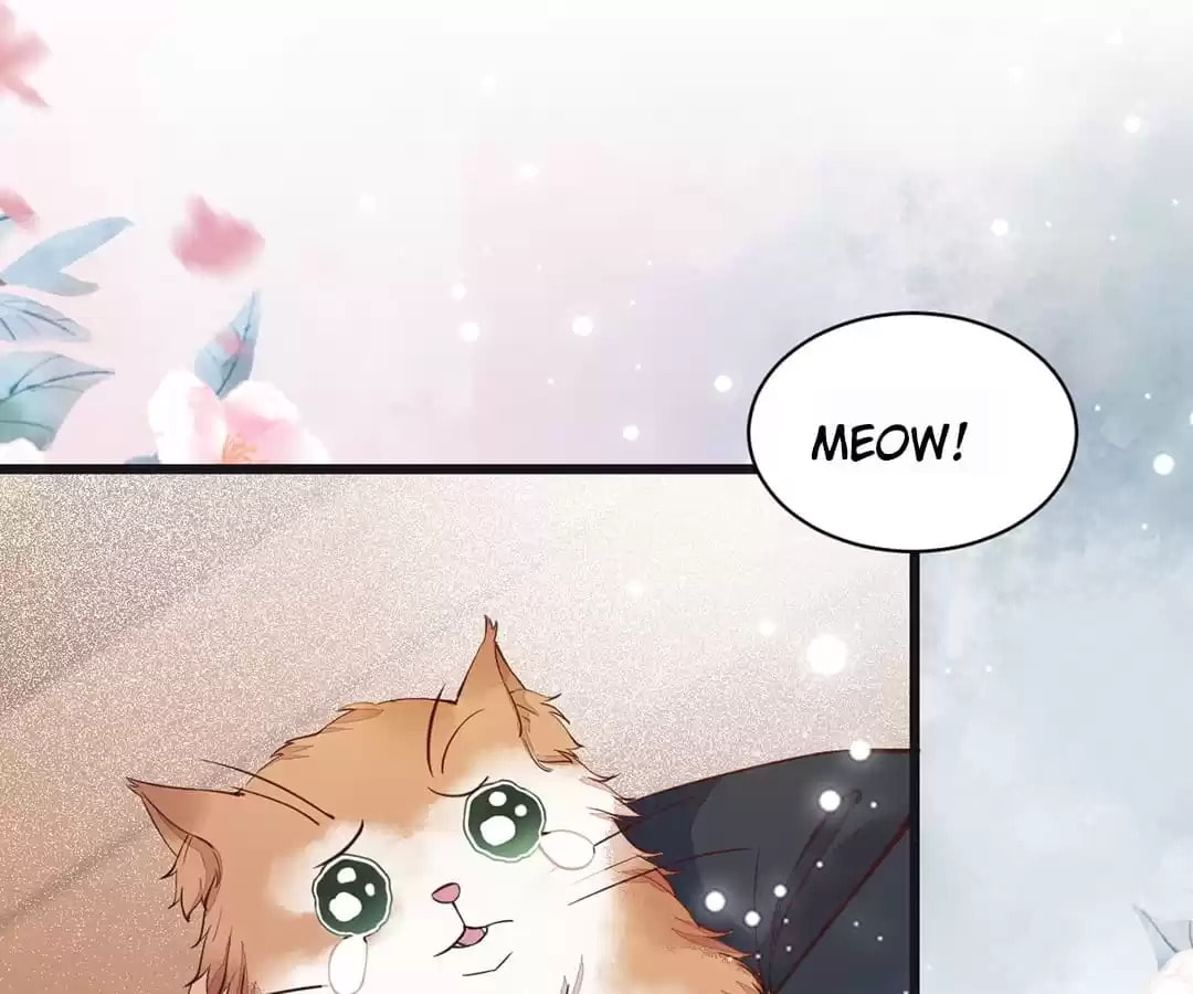 Read My Assassin Consort chapter 33 image 61 on Lezhin