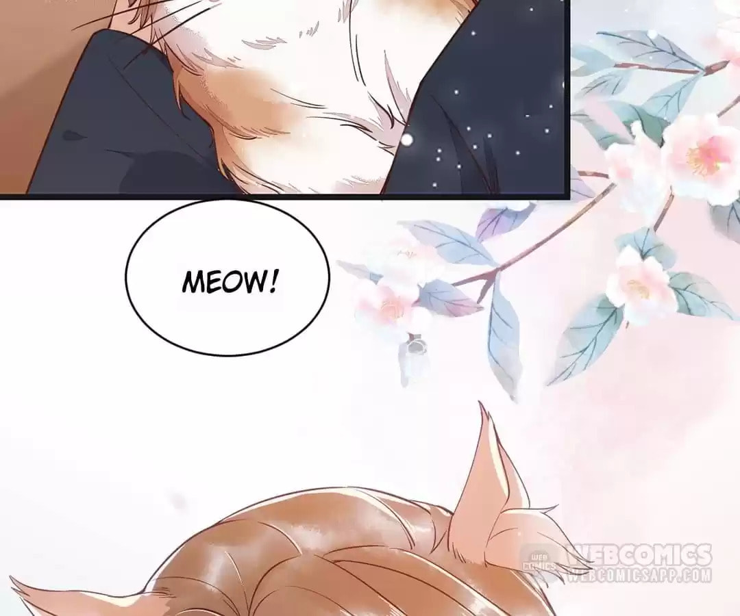 Read My Assassin Consort chapter 33 image 62 on Lezhin