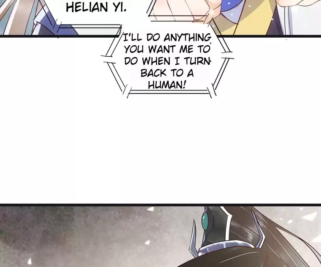 Read My Assassin Consort chapter 33 image 64 on Lezhin