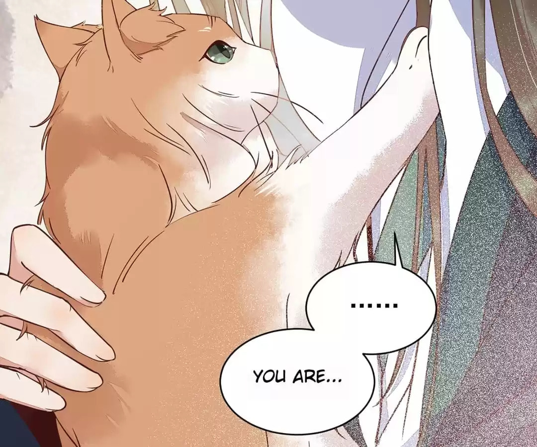 Read My Assassin Consort chapter 33 image 66 on Lezhin