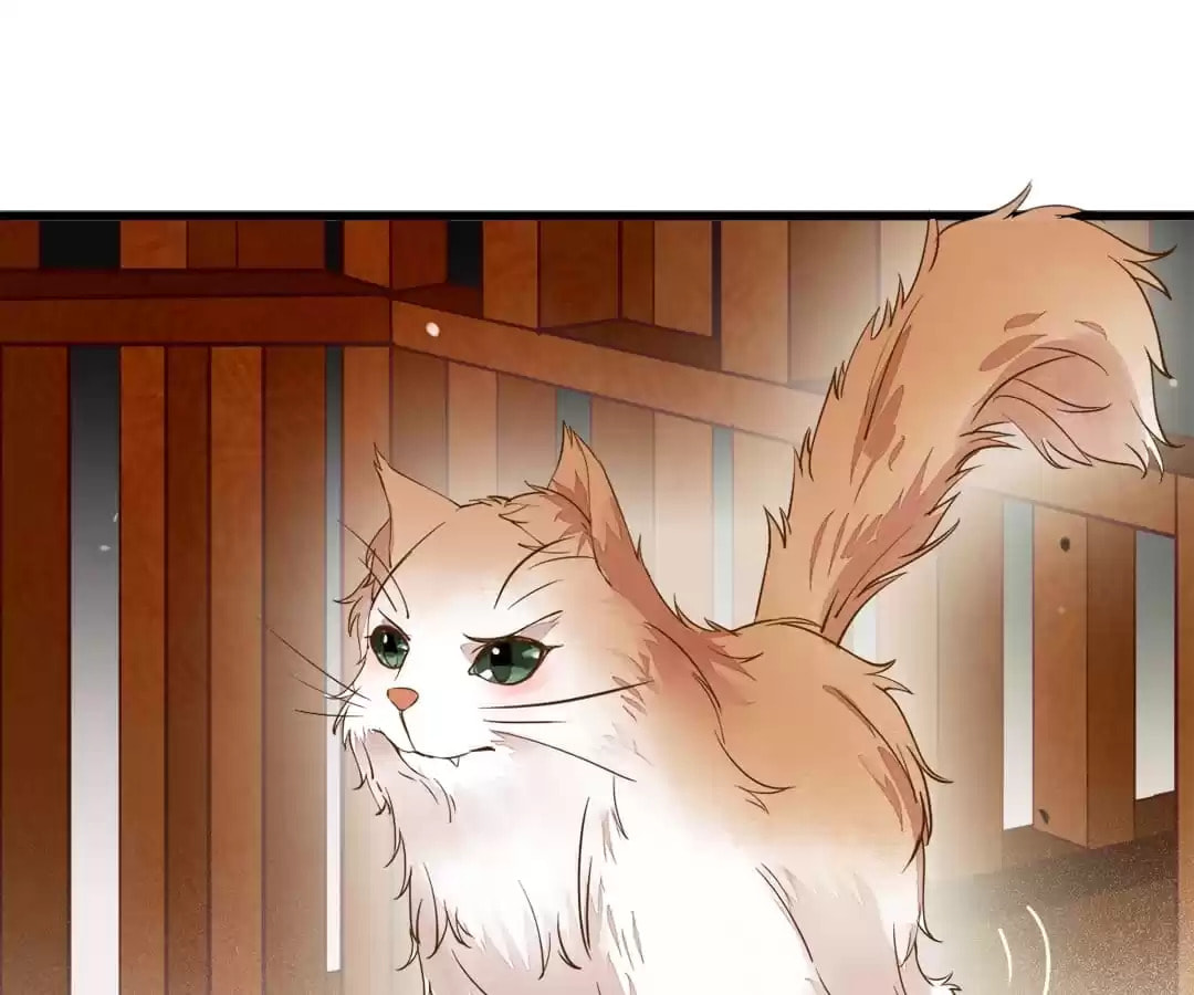 Read My Assassin Consort chapter 34 image 74 on Lezhin