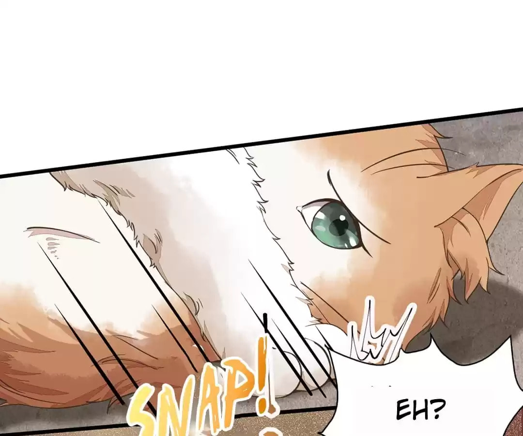 Read My Assassin Consort chapter 35 image 1 on Lezhin