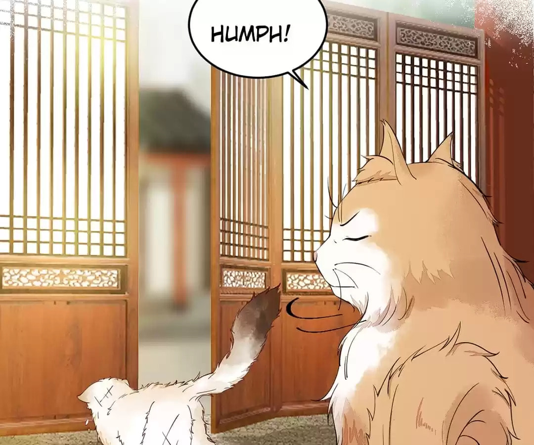 Read My Assassin Consort chapter 35 image 11 on Lezhin