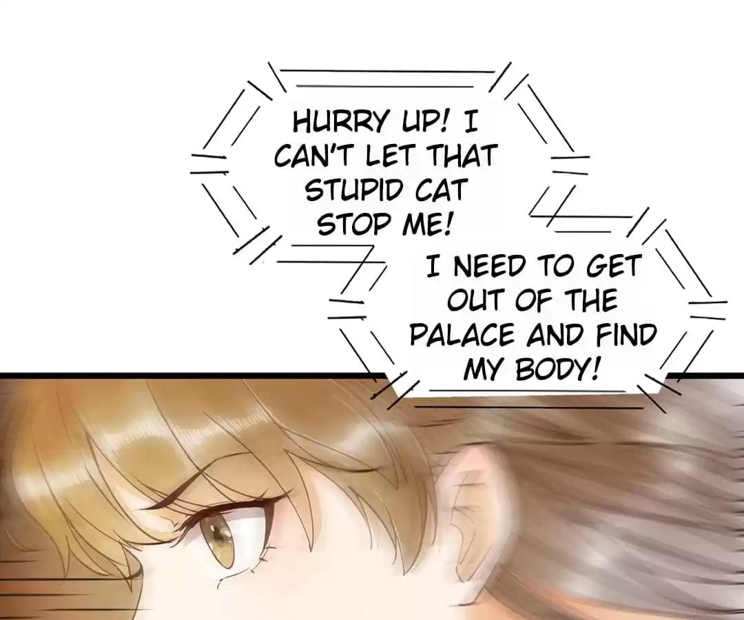 Read My Assassin Consort chapter 35 image 15 on Lezhin