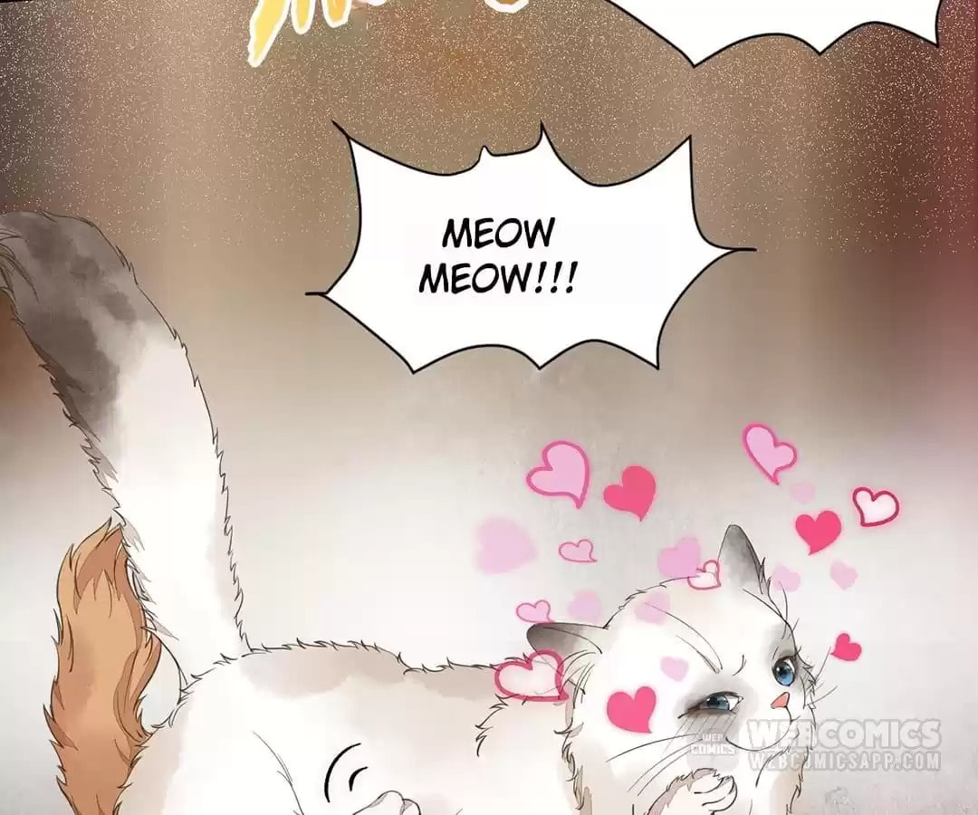 Read My Assassin Consort chapter 35 image 2 on Lezhin