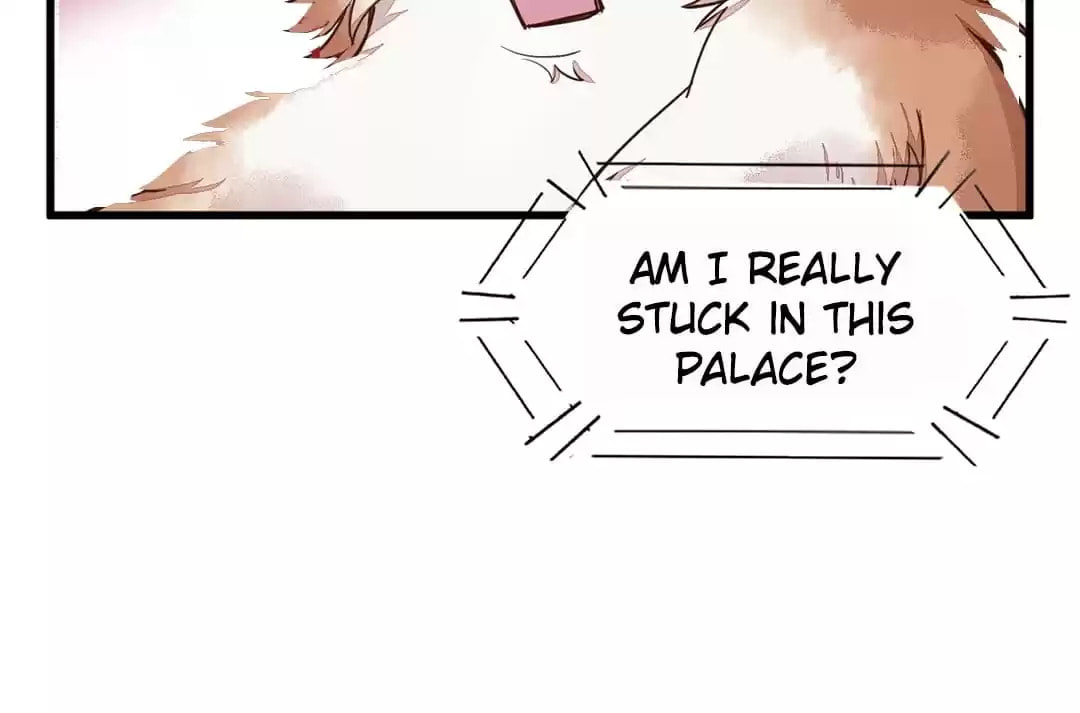 Read My Assassin Consort chapter 35 image 22 on Lezhin