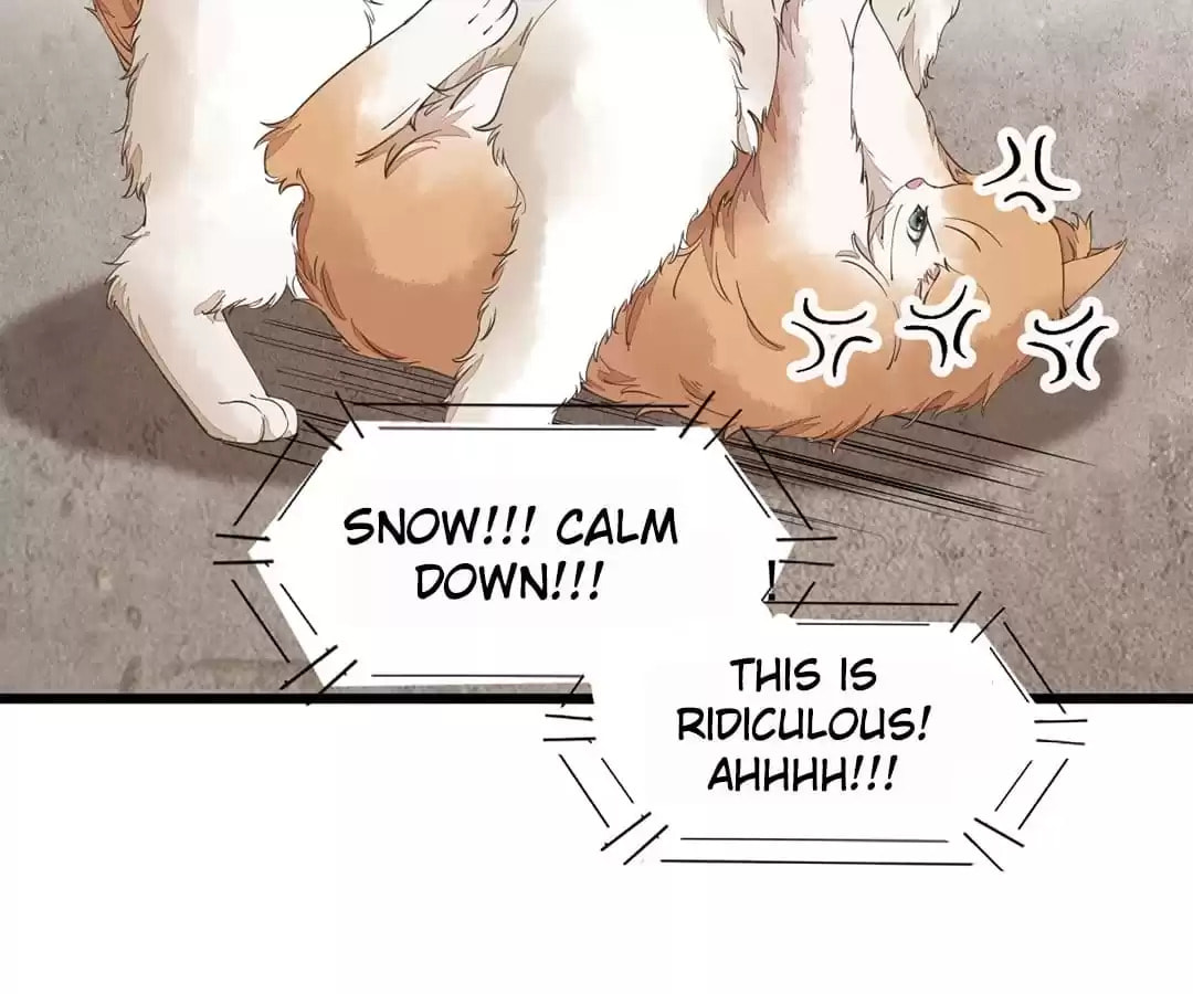 Read My Assassin Consort chapter 35 image 3 on Lezhin
