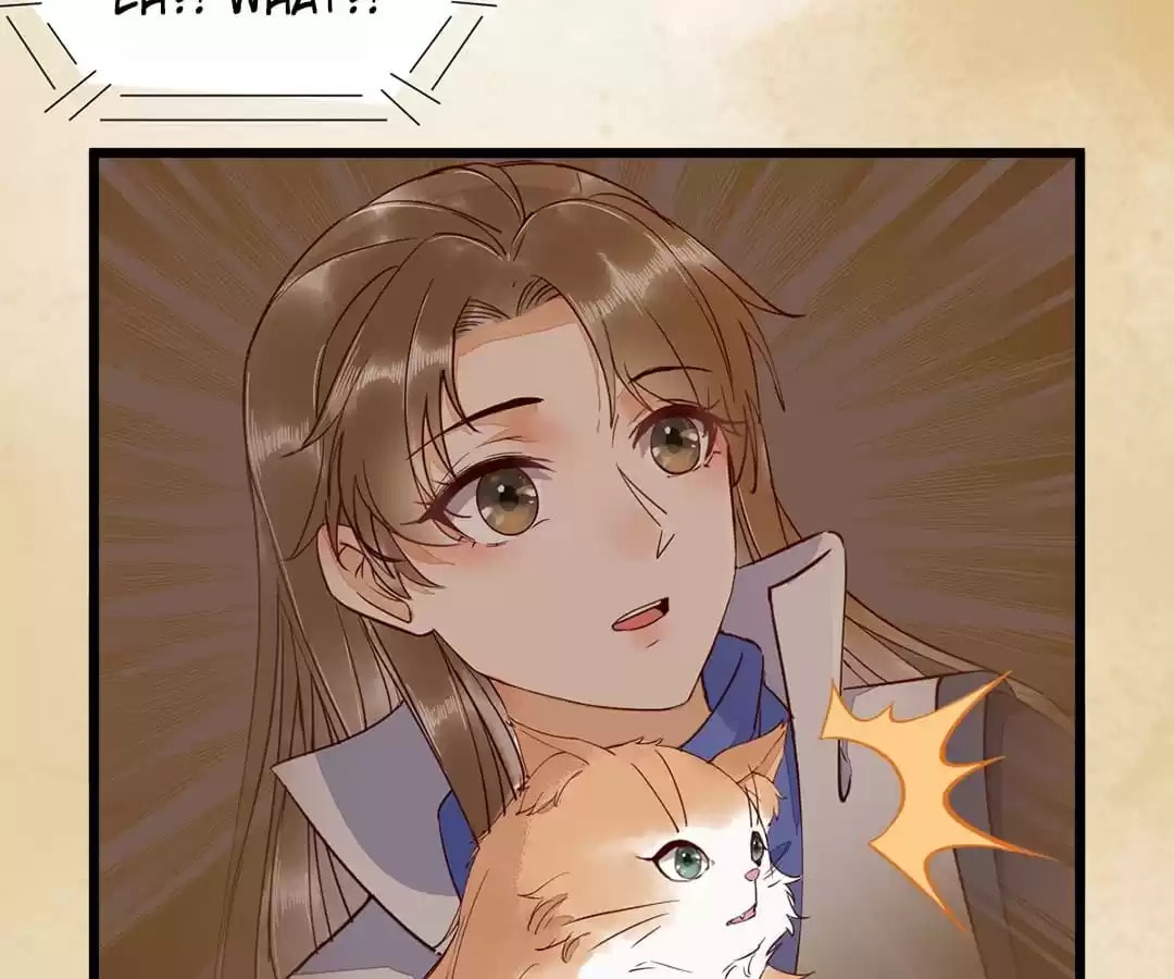Read My Assassin Consort chapter 35 image 33 on Lezhin