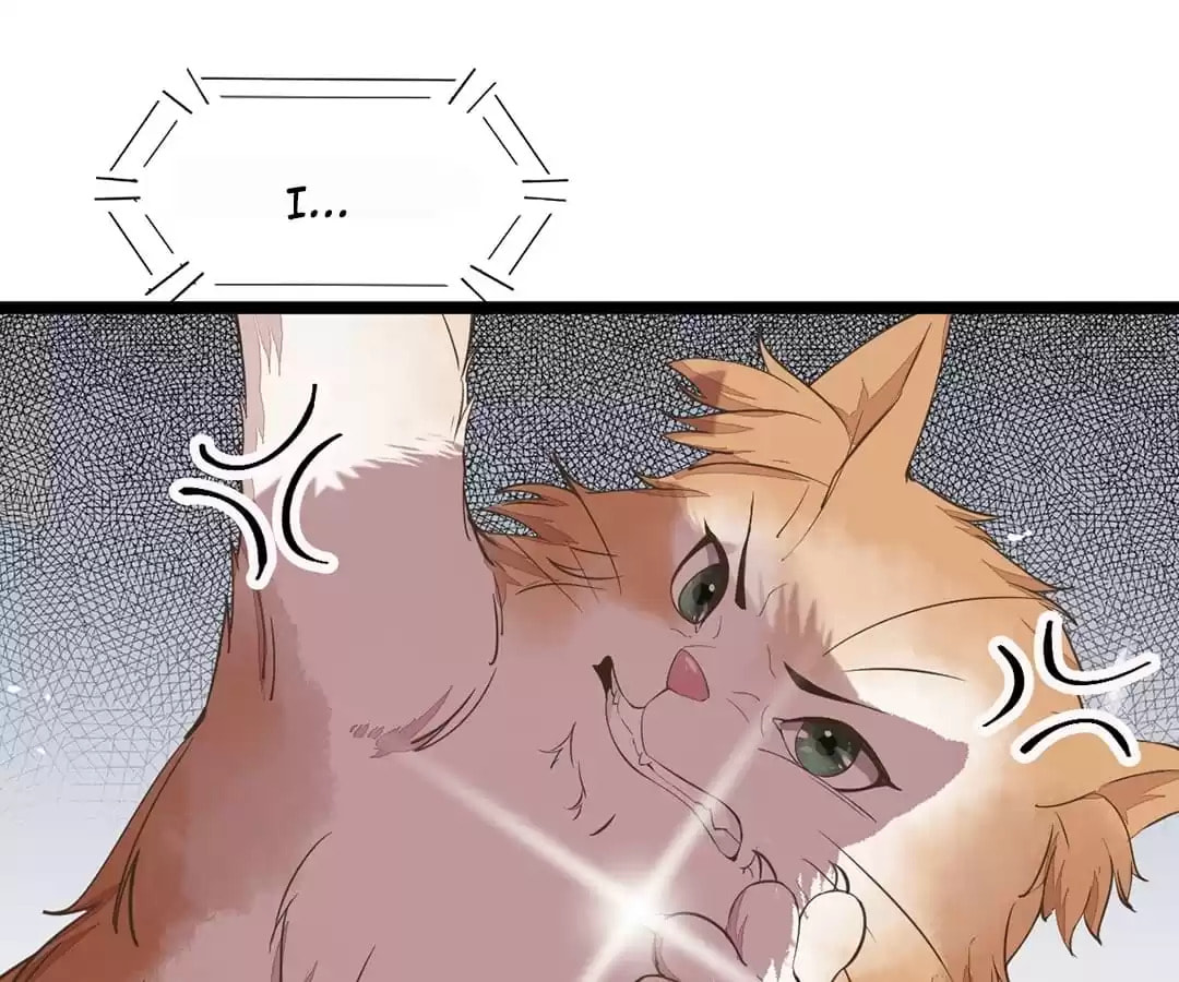 Read My Assassin Consort chapter 35 image 4 on Lezhin