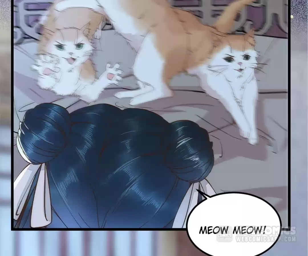 Read My Assassin Consort chapter 38 image 21 on Lezhin