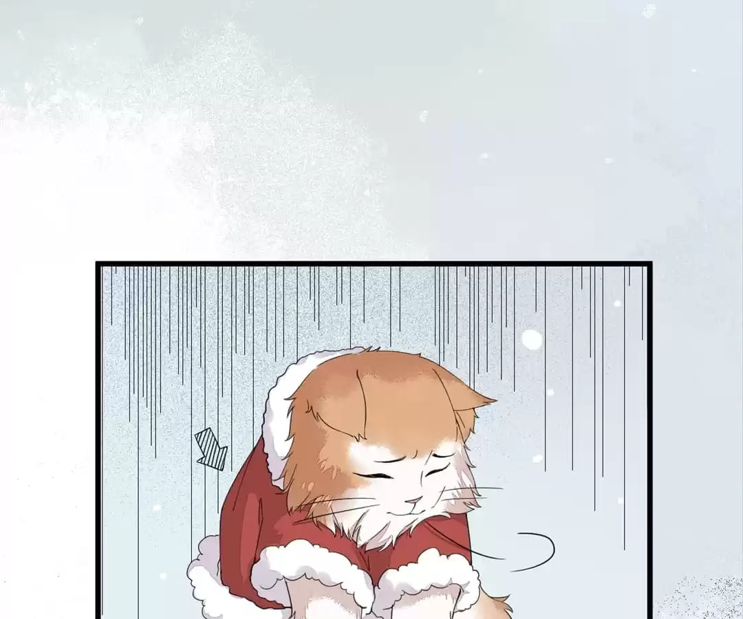 Read My Assassin Consort chapter 38 image 73 on Lezhin